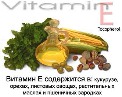 витамин е питание